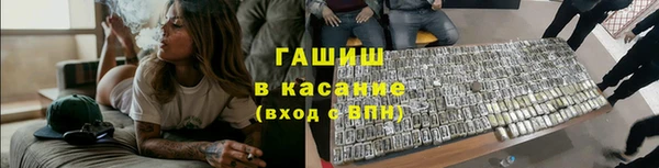 шишки Покачи