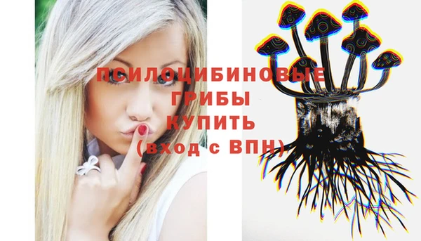 герыч Арсеньев